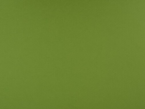 Jak i kiedy wykorzystać kolor oliwkowy we wnętrzu? na zdjęciu kolor oliwkowy.