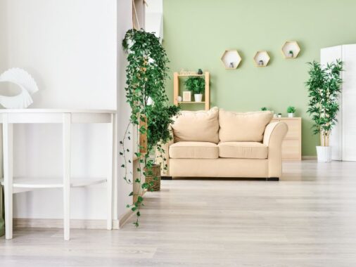 Bluszcz we wnętrzu – wariactwo czy świetny pomysł? na zdjęciu bluszcz w mieszkaniu.